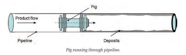 S1-pig-diag